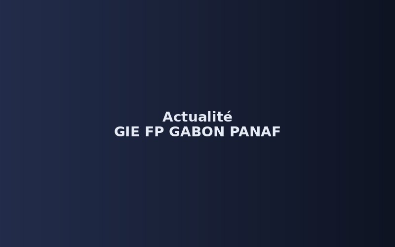 Lancement du portail officiel du GIE FP GABON PANAF